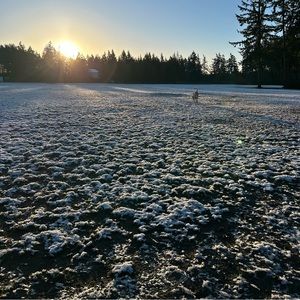 Meet your Posher, Angi